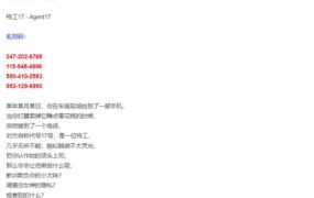 【人妻SLG/汉化】特工17-调教风骚女特工v0.22.5【PC+安卓】Agent17【3.9G/XN】